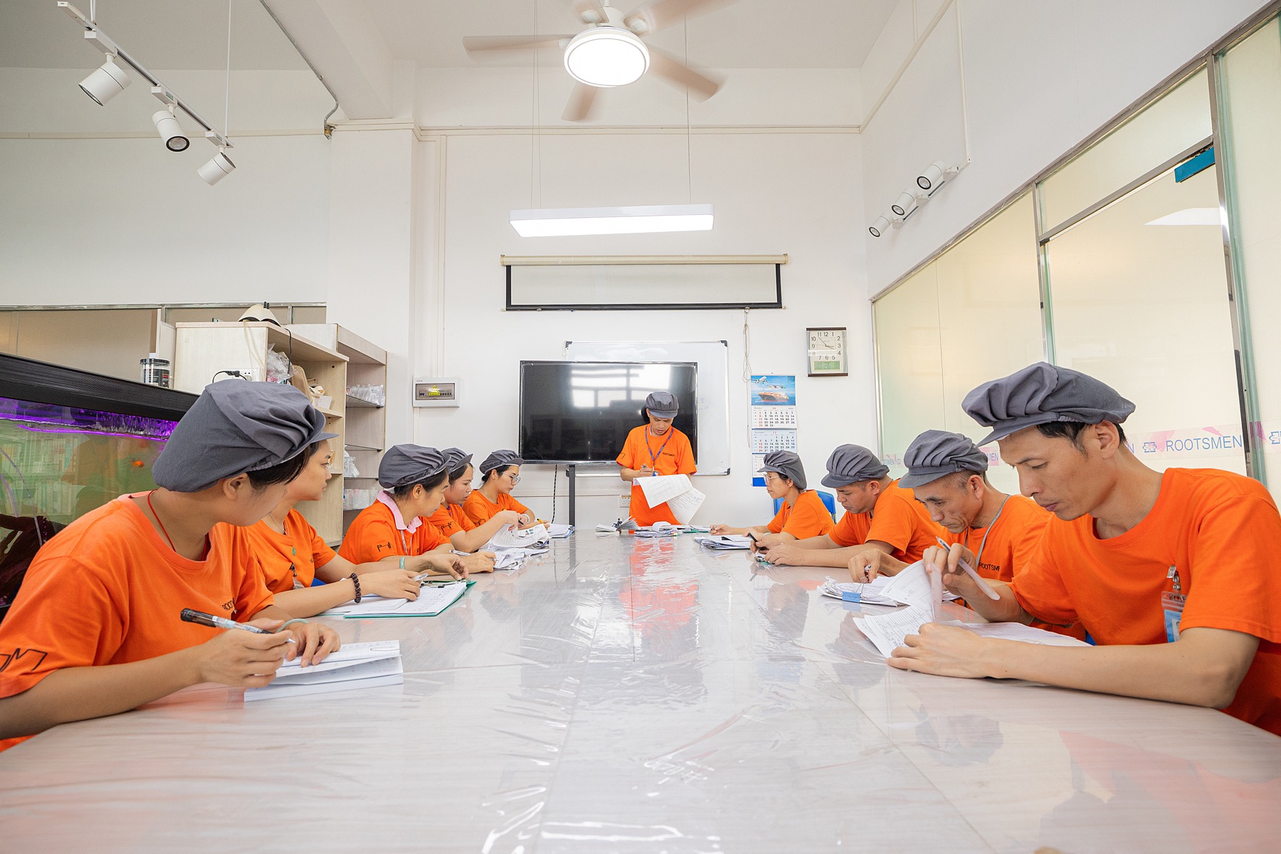 Development and production coordination